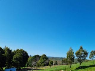 Cozy Otways Accommodation - 4