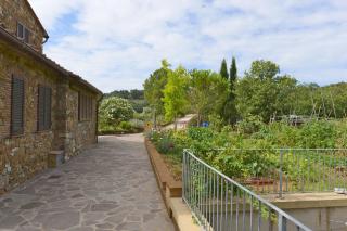 Poggio Ferrone - Suvereto - 8