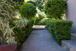 MVT Guesthouse & Restaurant (Rishikesh) - 5
