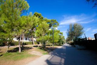 Homiday - Appartamenti Pinetina - Pineto - 7