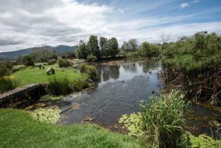 Tenikwa Wildlife Centre & Spa - Plettenbergbaai - 3