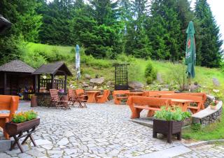 Hotel Modrava - Modrava - 6