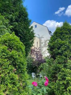 Pension am Tiefen See - 3