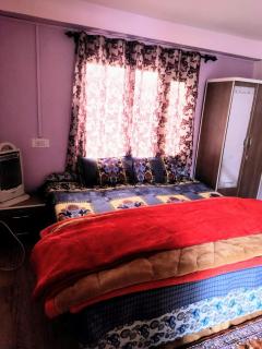 Pine Wood - Kotgarh - 9