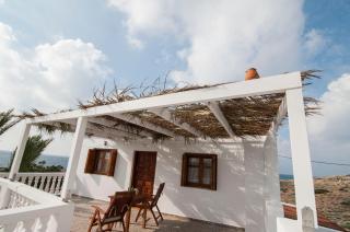 Palmhouses - Afiartis - 4