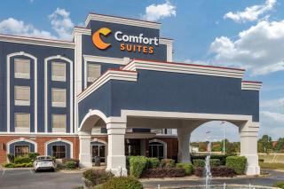 Comfort Suites Olive Branch - Memphis South - Olive Branch - 5