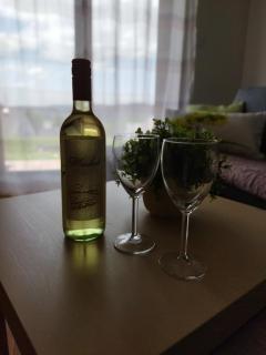 Apartmán u Šedů - 0