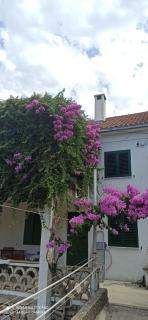 Apartman LiAm - Nečujam - 2