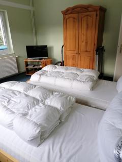 Ferienwohnung 1, Waldesruh Dierhagen - Dierhagen - 8