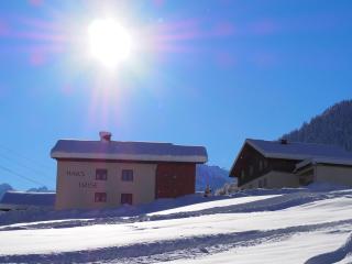 Haus Luise - Schruns - 8