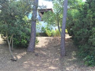Casa minipa - Begur - 0