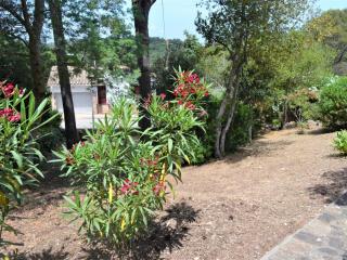 Casa minipa - Begur - 7