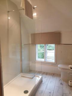 The Crown House Inn - Great Chesterford - 8