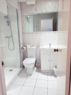 The Crown House Inn - Great Chesterford - 3