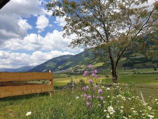 Almliesl UTTE-629 - 8