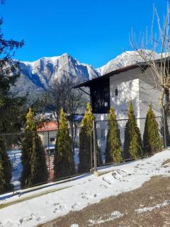 Vila Mura - Buşteni - 0