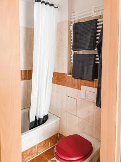 Schöne Wohnung, eigene Terrasse, privater Parkplatz, Wi-Fi, Waschmaschine, 3P - Chemnitz - 8
