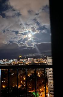 Tbilisi Studio Apartment - Tbilisi - 6
