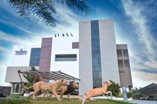 The Divine Resort Somnath - Somnath - 8