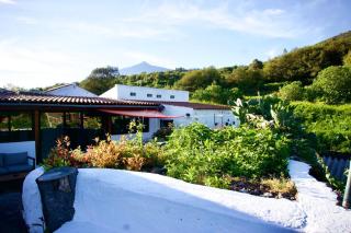 La Vega Rural de Garachico, near Santa Cruz de Tenerife - Icod de los Vinos - 3