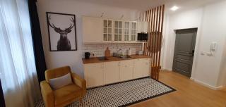 Apartamenty SIENKIEWICZA 8 - Żywiec - 5