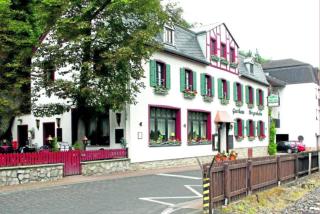Gasthaus Balduin, mitten in der Natur, direkt am Fluss - Balduinstein - 9