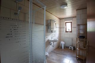Midlum Zaunkönig - Midlum - 1