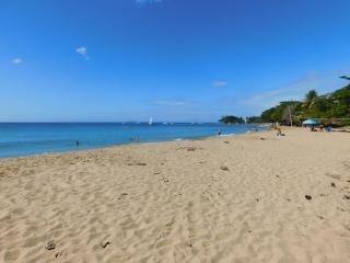 Seashore Condo - Rincon - 8