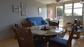 Caribbean Sea View Condo - Rincon - 4
