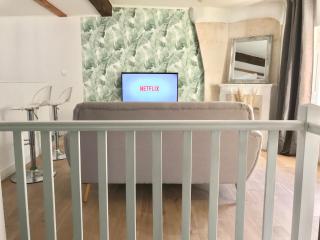 Jungle Cosy Appartement - Niort - 8