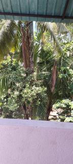 Disa Residence - Galle - 9