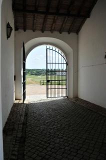 Herdade da Negrita - Santo Aleixo - 9