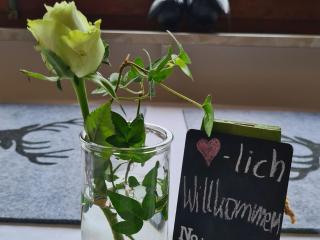Haus Wolter - 1