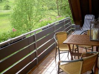 Haus Wolter - Gengenbach - 8