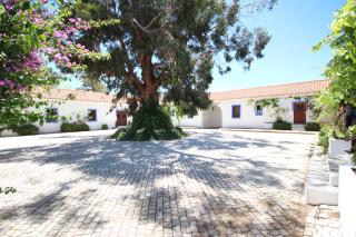 Herdade da Negrita - Santo Aleixo - 4