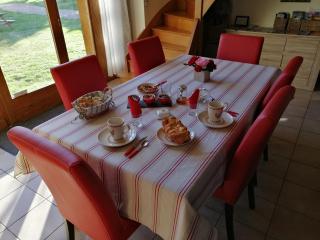 Le Tulipier de Virginie - Noyers-sur-Cher - 6