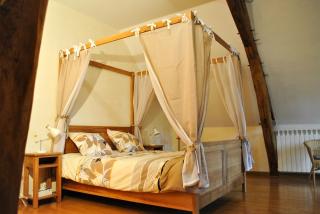 Le Tulipier de Virginie - Noyers-sur-Cher - 4