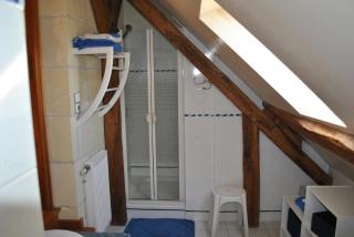 Le Tulipier de Virginie - Noyers-sur-Cher - 3