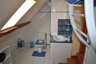 Le Tulipier de Virginie - Noyers-sur-Cher - 1