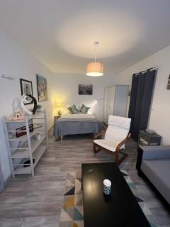 Le P'tit Gris Studio cosy et rénové - 9