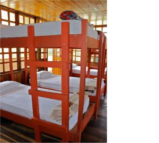 Coral Reef Surf Hostel and Camp - 2