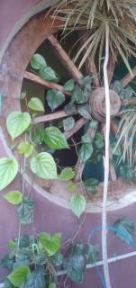 Thiru Nakshatra Family Guest House - Tiruvannāmalai - 1