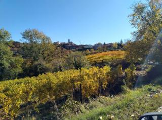 Casa Doris - Montabone - 5