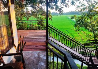 Village Mango Resort Yala - 0