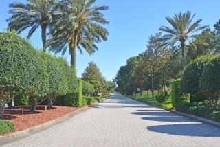 181AR Jamaican Delight - 9