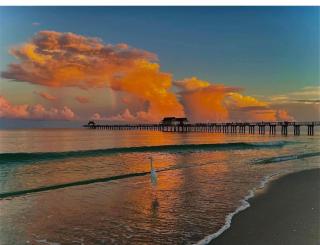 Naples Dream at WTC with Heated Pool SPA Sauna 7 bicycles and 3 mls to beach - Naples - 9