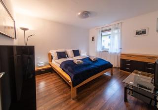 ERZHAUS Apartments - Eisenerz - 9