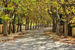 appartement chalet - 3