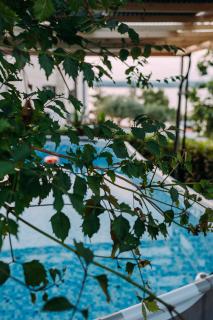 Apartments in Klimno - Insel Krk 42235 - Klimno - 7