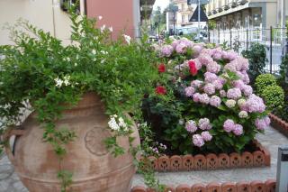 Il Giardino di Mary - Rieti - 3